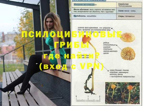 соль ск Алексеевка