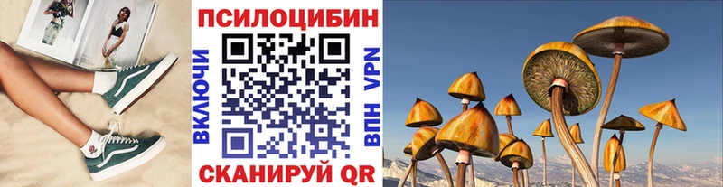 блэк спрут как зайти дарк нет состав Галлюциногенные грибы прущие грибы Конаково